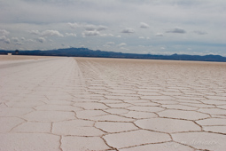 Salar d'Uyuni, 120 km de sel, altitude 3656 m.