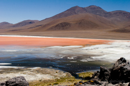 Laguna Colorada, province Sud Lipez