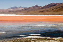Laguna Colorada, province Sud Lipez