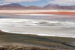 Laguna Colorada, province Sud Lipez