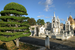 Cemetery Christophe Colomb